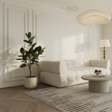 Ficus en maceta de 130 cm