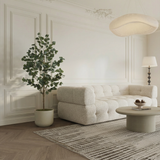 Eucalyptus en pot 150 cm