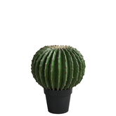 Cactus rond en pot 43 cm