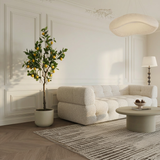 Citronnier en pot 160 cm