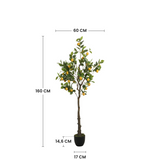 Dimensions du citronnier artificiel 160 cm : hauteur 160 cm, largeur 60 cm, pot 14,6 cm de hauteur et 17 cm de diamètre