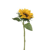 Tige de Tournesol 70 cm