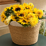 Tige de Tournesol 70 cm