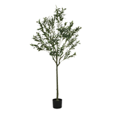 Olivier artificiel de 150 cm en pot noir, feuillage fin vert argenté sur tronc naturel, arbre artificiel Sia Deco sur fond blanc