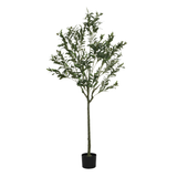 Olivier artificiel de 150 cm en pot noir, feuillage fin vert argenté sur tronc naturel, arbre artificiel Sia Deco sur fond blanc