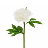 Tige de Pivoine 40 cm blanc, fleur artificielle, packshot fond blanc, Sia Deco