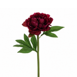 Tige de Pivoine 40 cm fuchsia, fleur artificielle, packshot fond blanc, Sia Deco
