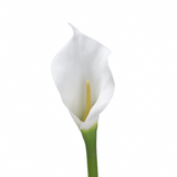 Tige d'Arum 75 cm blanc, fleur artificielle, packshot fond blanc, Sia Deco