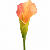 Tige d'Arum 75 cm orange, fleur artificielle, packshot fond blanc, Sia Deco