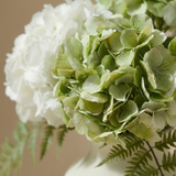 Bouquet d'Hortensias Vireya