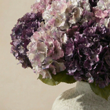Bouquet d'Hortensias Bloom