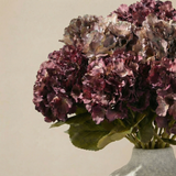 Bouquet d'Hortensias Mocha