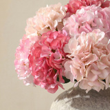 Bouquet d’Hortensia rose 12 tiges