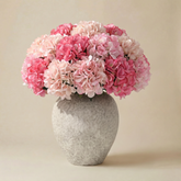 Bouquet d'Hortensia 24 tiges