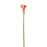 Kelly Calla Lily Stem