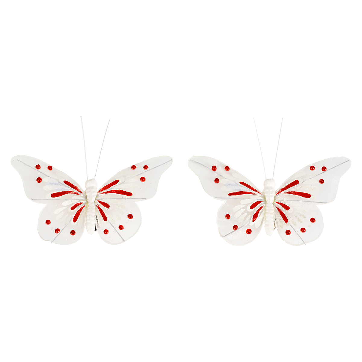 Clips Papillons