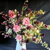 Flowering Scabiosa Stem