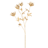 Large Golden Thistle Stem