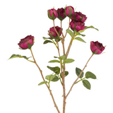 Roses Tea Stem
