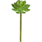 Bouquet di Ranuncoli ed Eucalipto