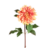 Tige de Dahlia Premium 70 cm