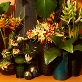 Heliconia Rostrata Stem