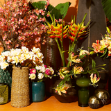 Heliconia Rostrata Stem