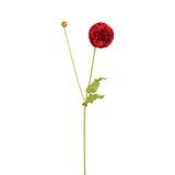 Flor de amapola PIPA
