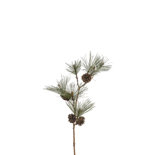 Branche de pin enneigée pour décoration de Noël