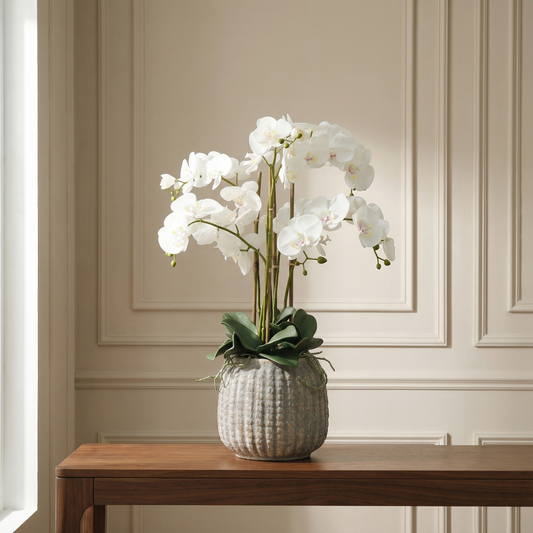 Guide cadeaux pour Noël