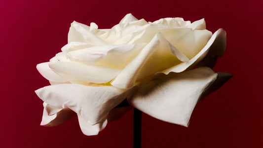 Guide Cadeau Saint-Valentin - Sia Deco