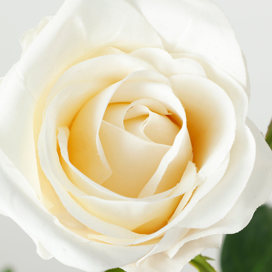 Quels Cadeaux Offrir à la Saint-Valentin pour une Femme ?