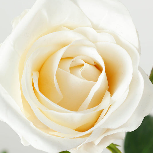 Quels Cadeaux Offrir à la Saint-Valentin pour une Femme ?