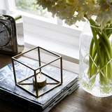 Natacha Hyacinth Stem