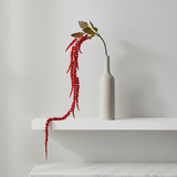 Amaranth Cascading Foliage