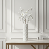 Magnolia nevada NOEL H74