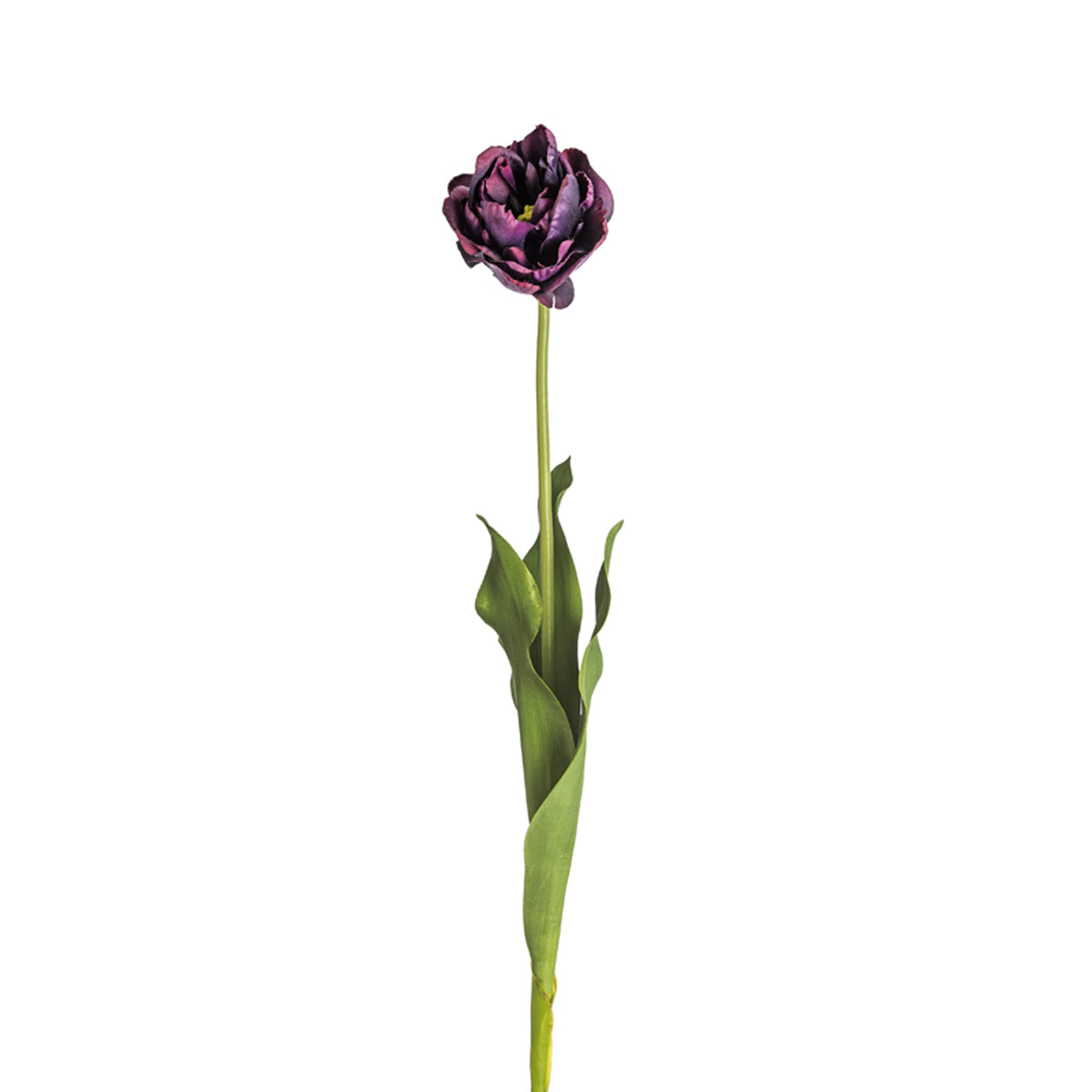 Doble tulipán NINA