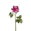 Rosa SARAH