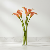 Kelly Calla Lily Stem