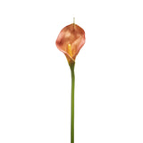 Kelly Calla Lily Stem