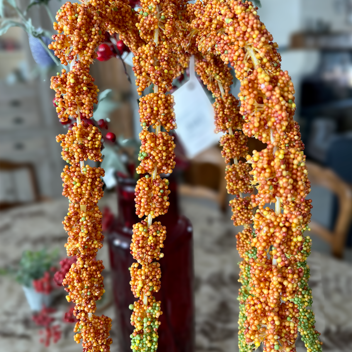 Amaranthus retroflexus