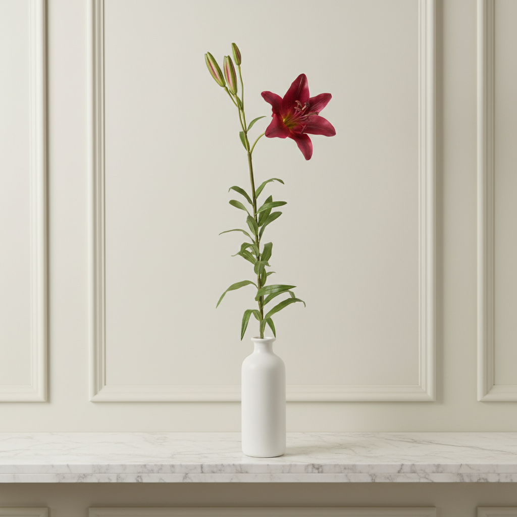 Lirio Rubrum ELSA H98