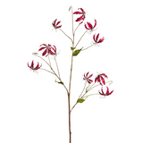 Tige de Gloriosa Amy Pailletée