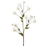 Tige de Gloriosa Amy Pailletée