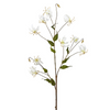 Tige de Gloriosa Amy Pailletée 125 cm