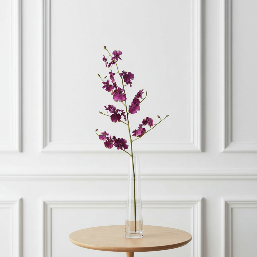 Orchidea Oncidium H58