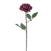Rosa SOPHIA