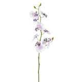 Oncidium Orchid Stem