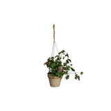 Hanging Composition Mini Plant