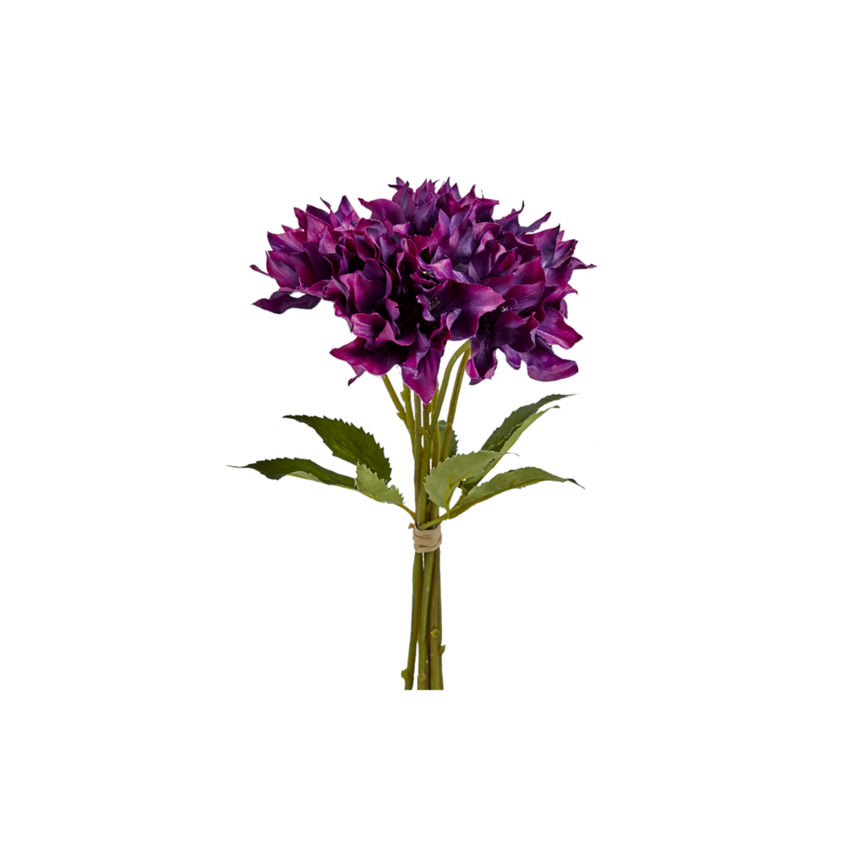 Bouquet d'Hellébores